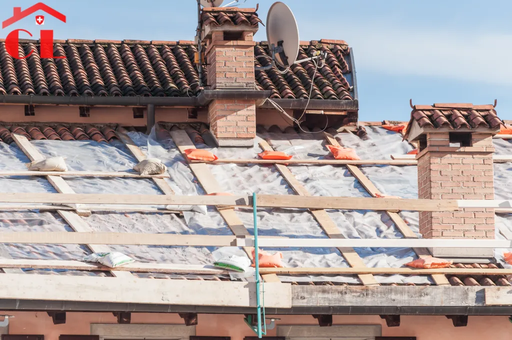 renovation-toiture-a-coppet-visuel