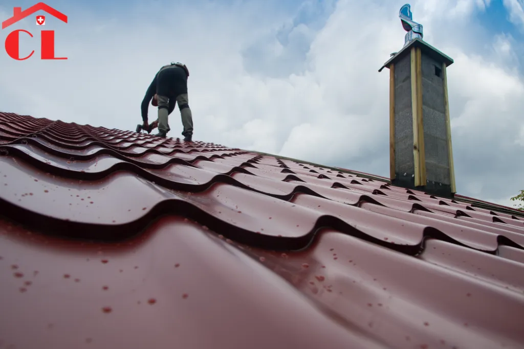 renovation-toiture-a-cornavin-visuel