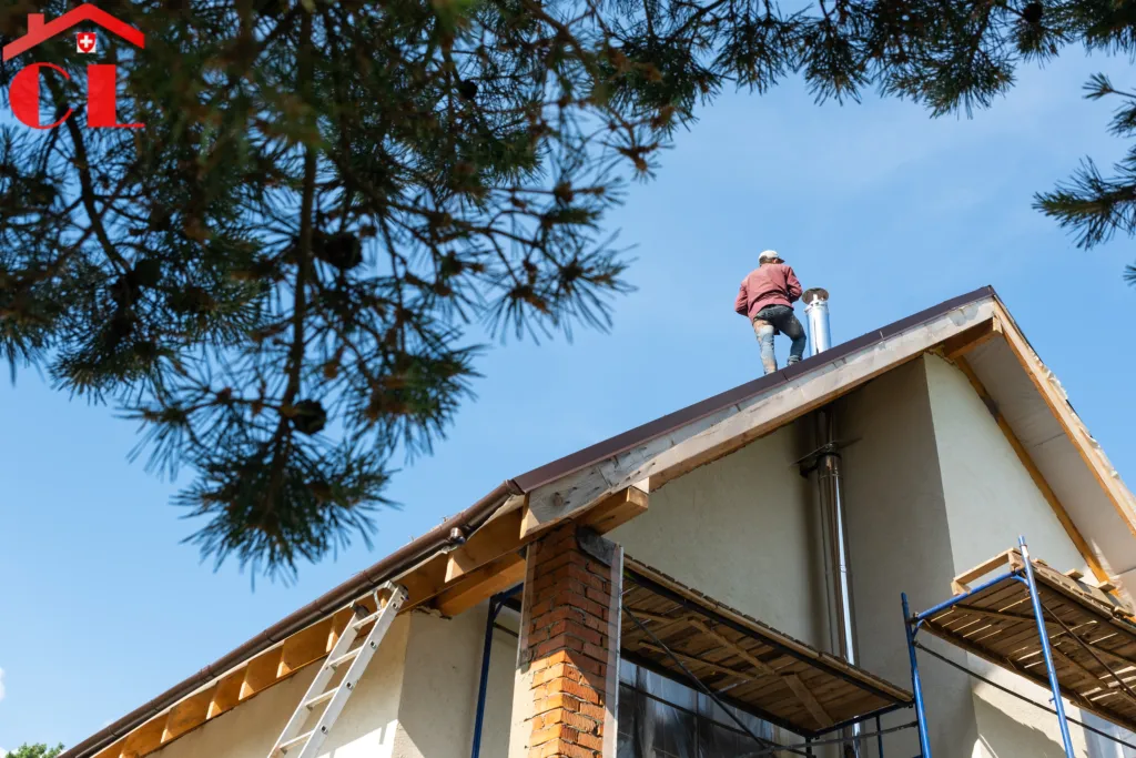 renovation-toiture-a-meinier-visuel