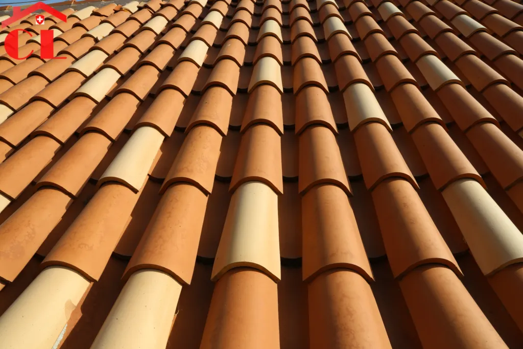 renovation-toiture-a-saint-genis-pouilly-visuel