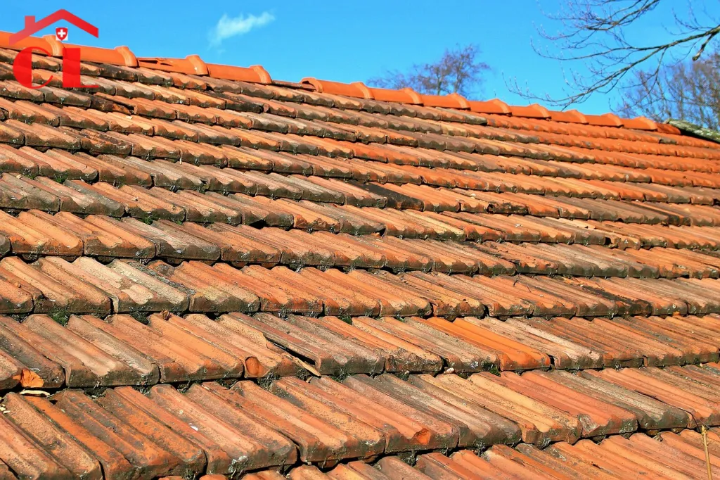 renovation-toiture-a-tannay-visuel