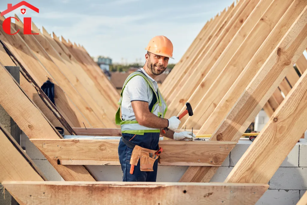 renovation-toiture-a-troinex-visuel