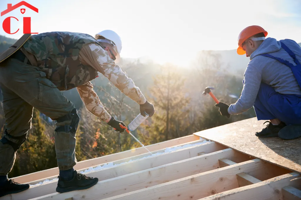 couvreur-bardonnex-visuel