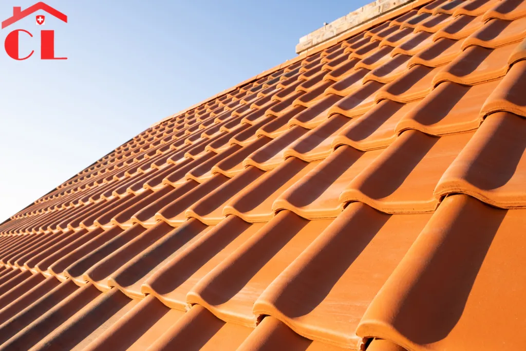 couvreur-coppet-visuel