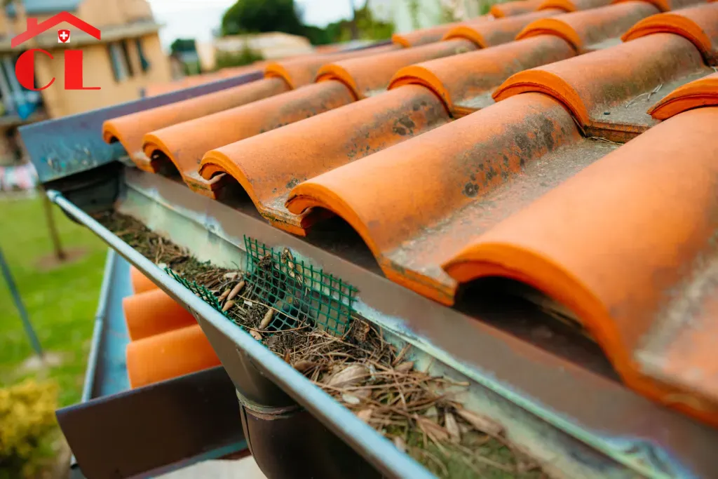 couvreur-troinex-visuel