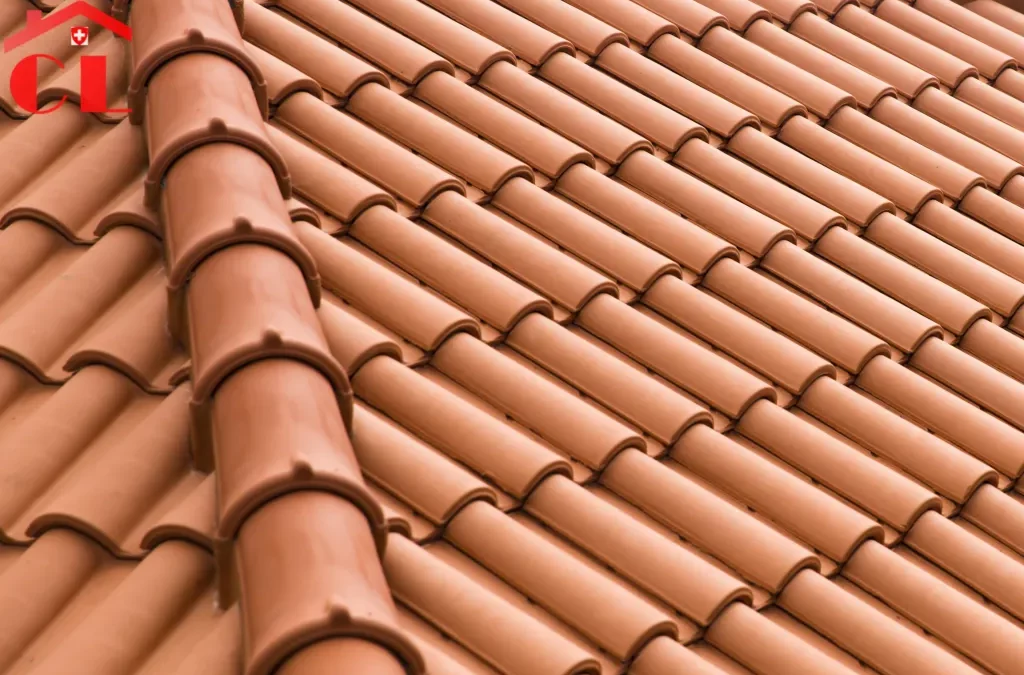 Démoussage toiture Anières