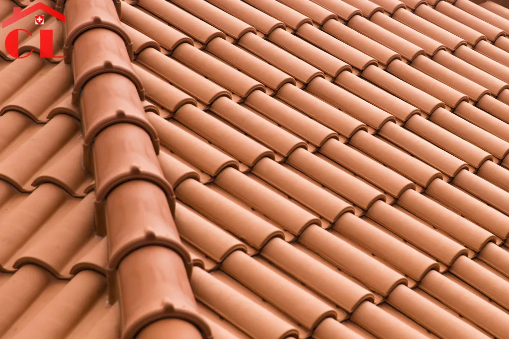 demoussage-toiture-anieres-visuel