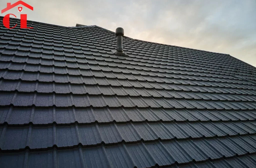 Démoussage toiture Bardonnex