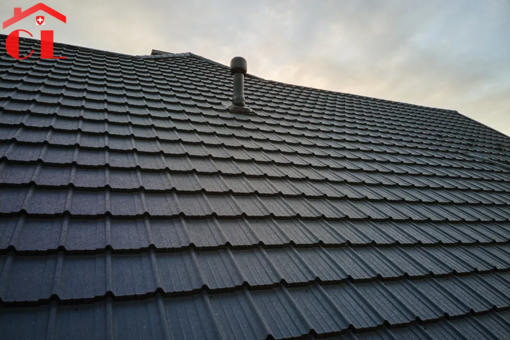 demoussage-toiture-bardonnex-visuel