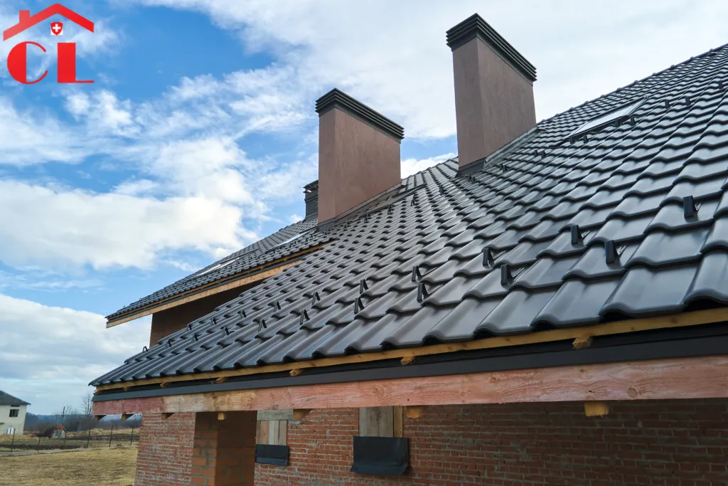 demoussage-toiture-chene-thonex-visuel