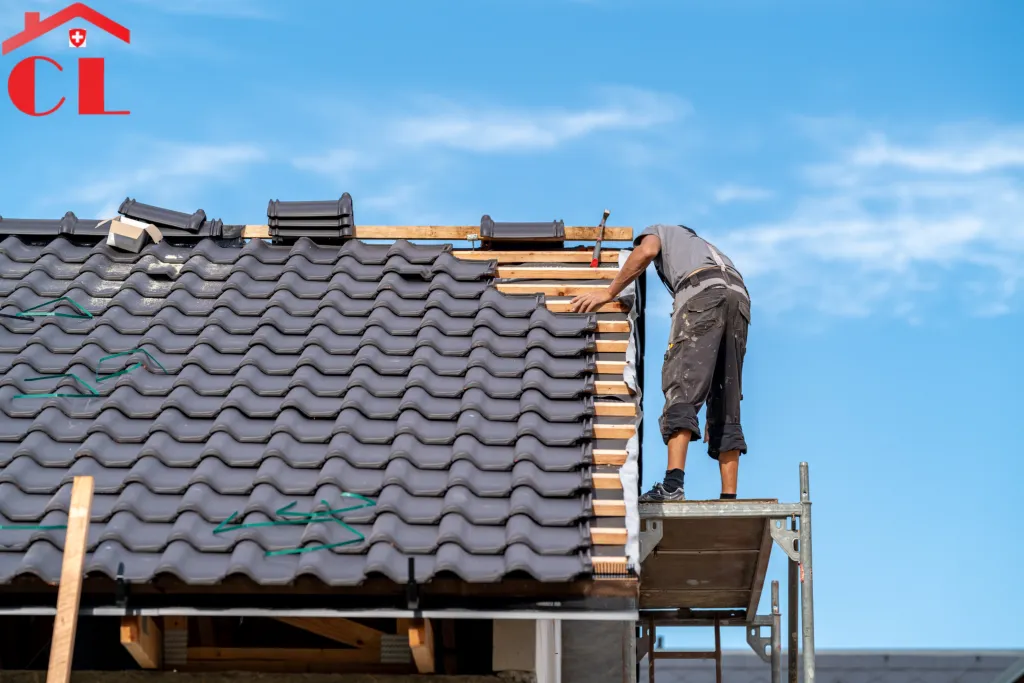 demoussage-toiture-collonges-bellerive-visuel