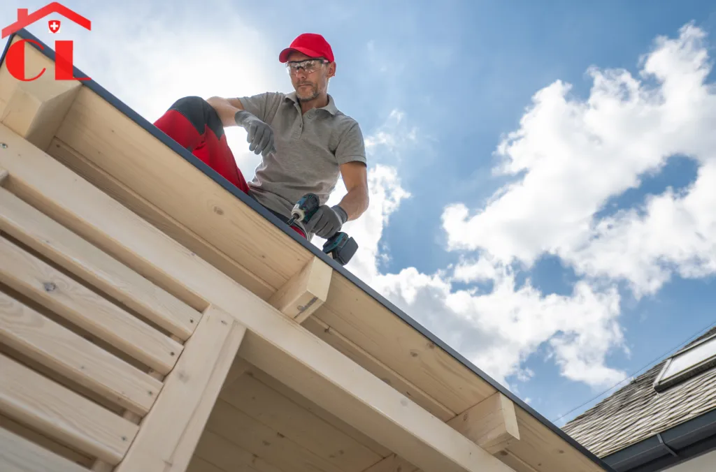 Démoussage toiture Coppet