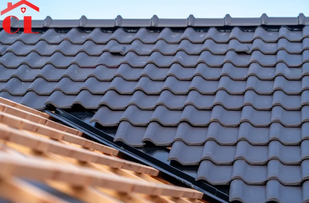 Démoussage toiture Cornavin