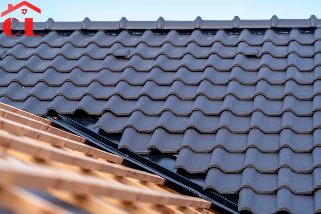 demoussage-toiture-cornavin-visuel