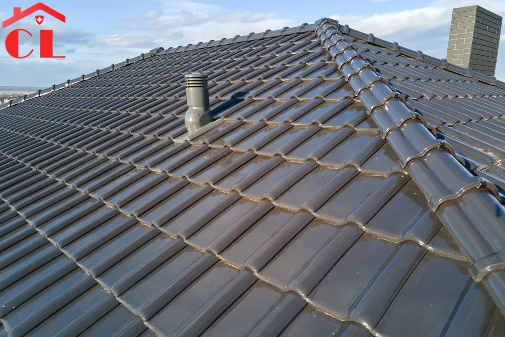 demoussage-toiture-corsier-visuel