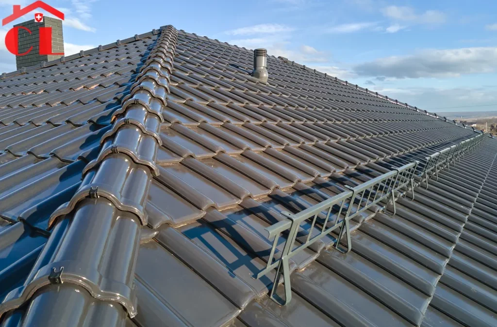 Démoussage toiture Jussy