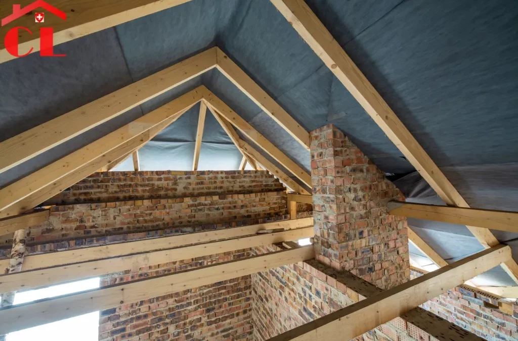 Démoussage toiture Le Grand-Saconnex