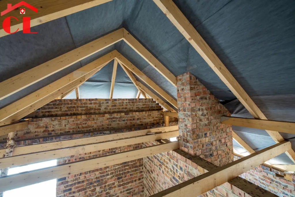 demoussage-toiture-le-grand-saconnex-visuel