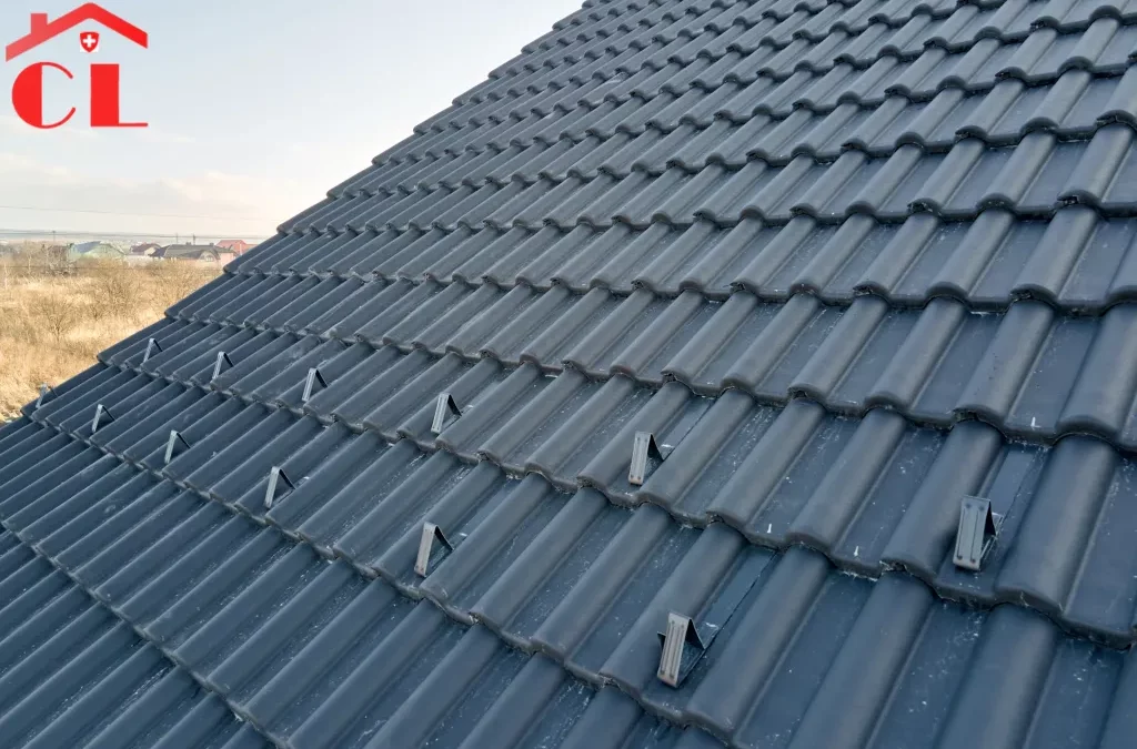 Démoussage toiture Meinier