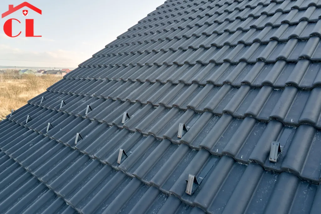 demoussage-toiture-meinier-visuel