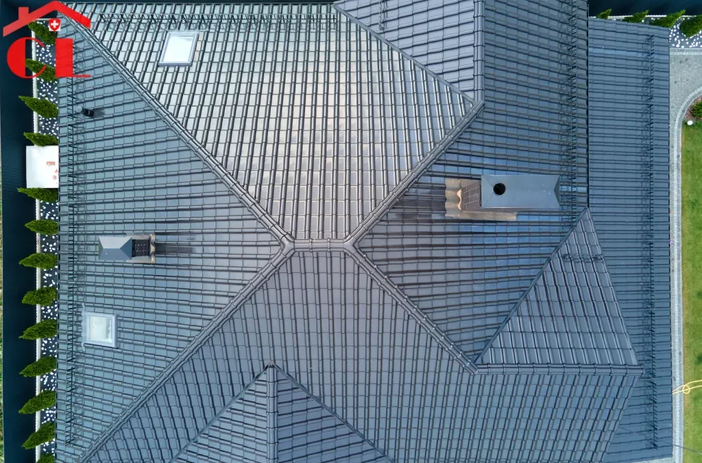 Démoussage toiture Pregny-Chambésy