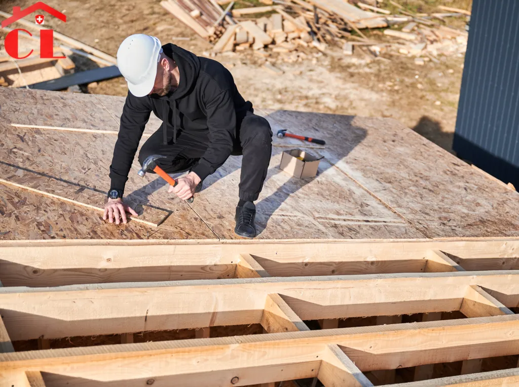 demoussage-toiture-presinge-visuel