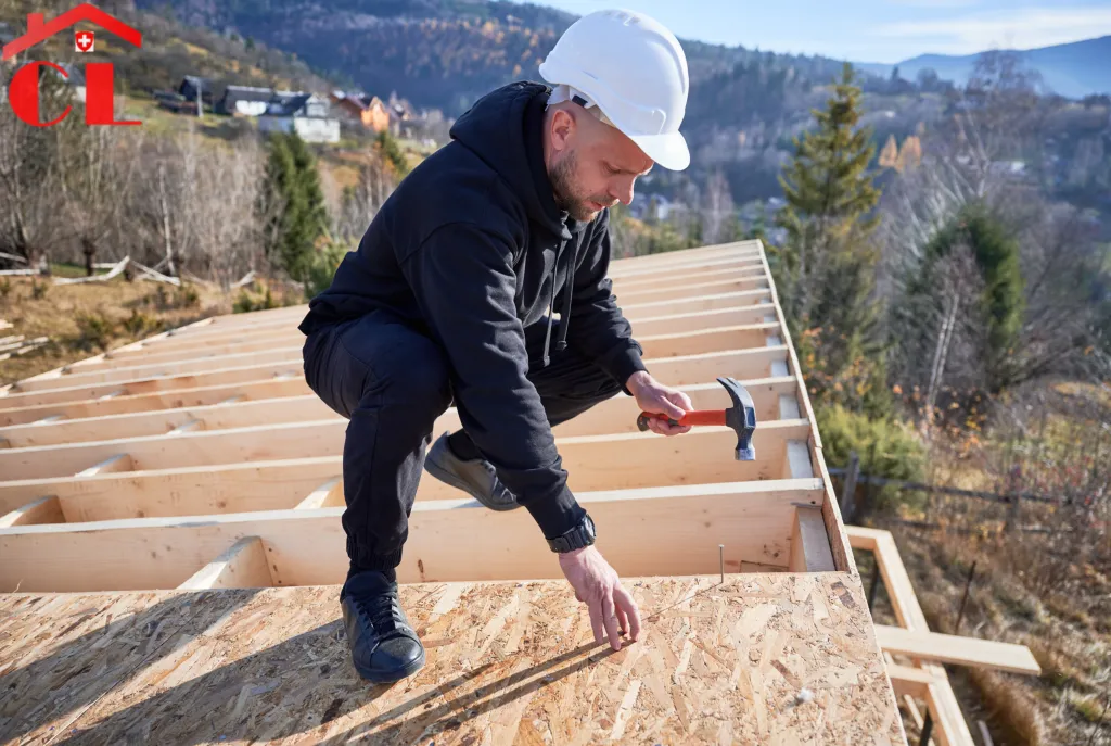 demoussage-toiture-puplinge-visuel