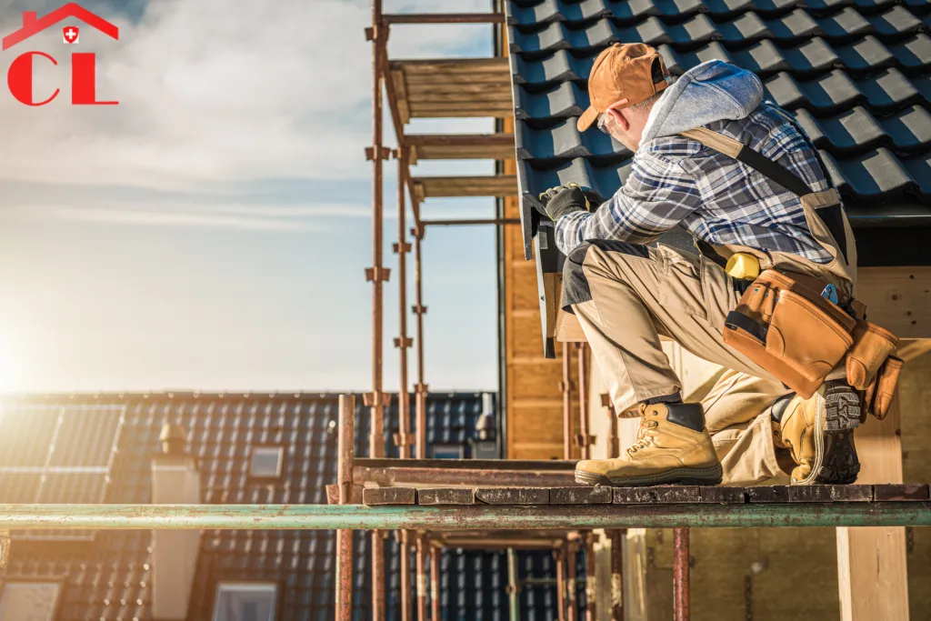 demoussage-toiture-tannay-visuel