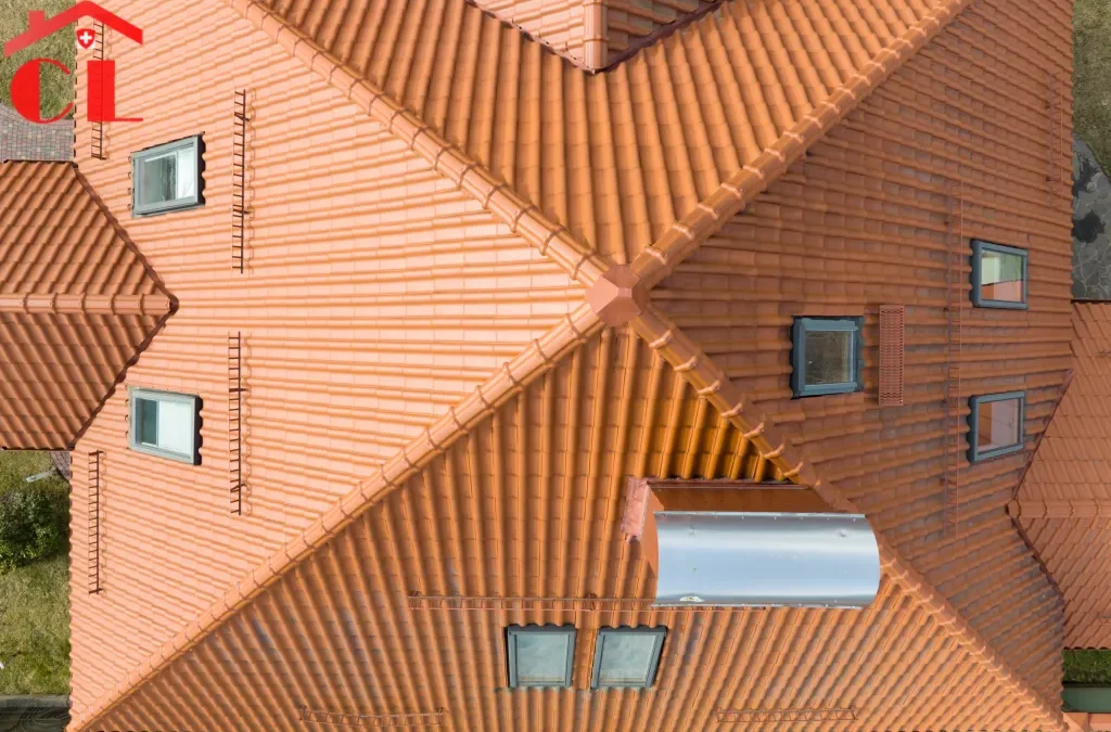 Démoussage toiture Thônex