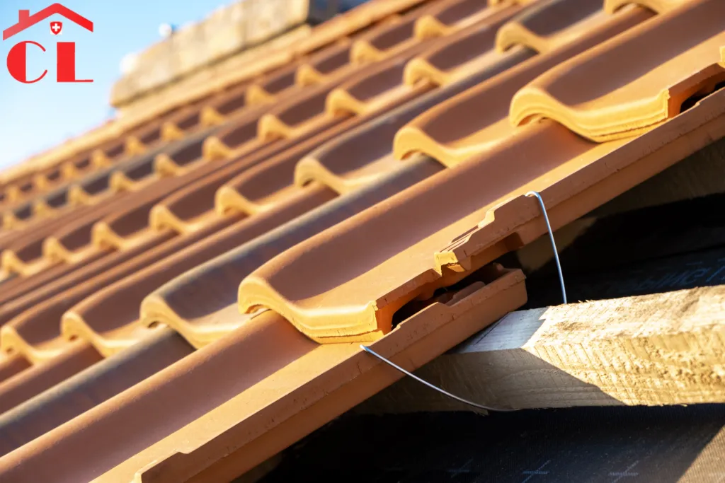 demoussage-toiture-versoix-visuel