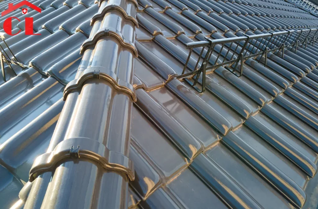 Démoussage toiture Vessy