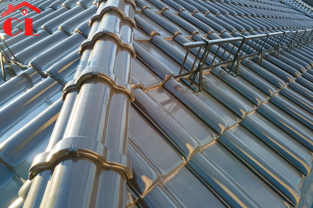 demoussage-toiture-vessy-visuel