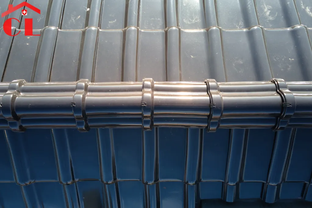 demoussage-toiture-veyrier-visuel