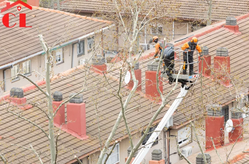 Rénovation toiture à Chougny
