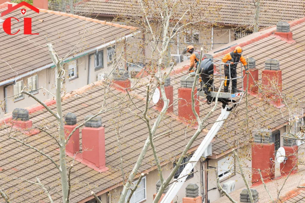 renovation-toiture-a-chougny-visuel