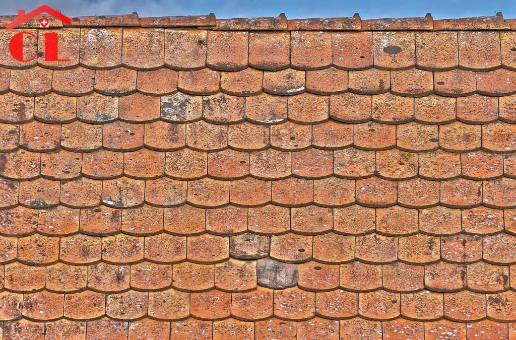 Rénovation toiture à Ferney-Voltaire