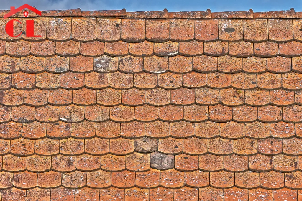 renovation-toiture-a-ferney-voltaire-visuel