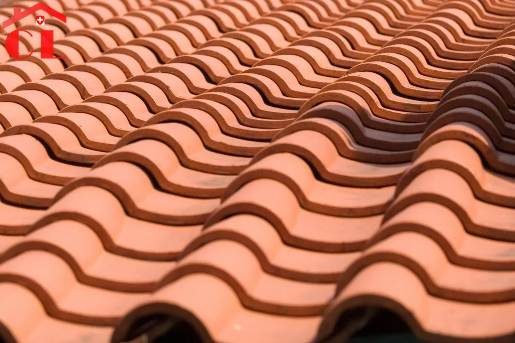 renovation-toiture-a-laconnex-visuel