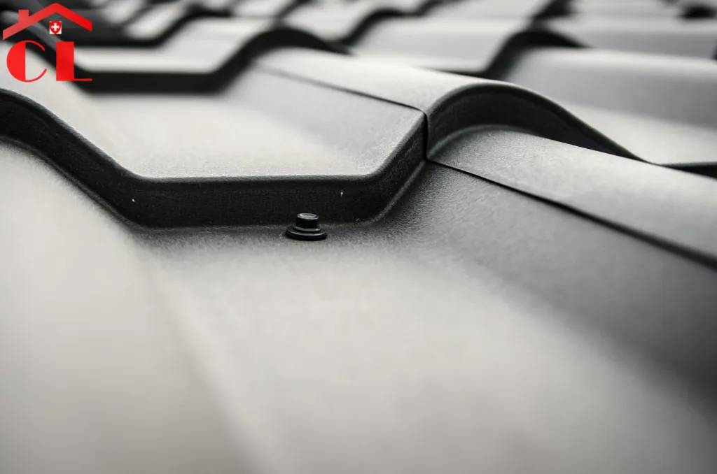 renovation-toiture-a-onex-visuel