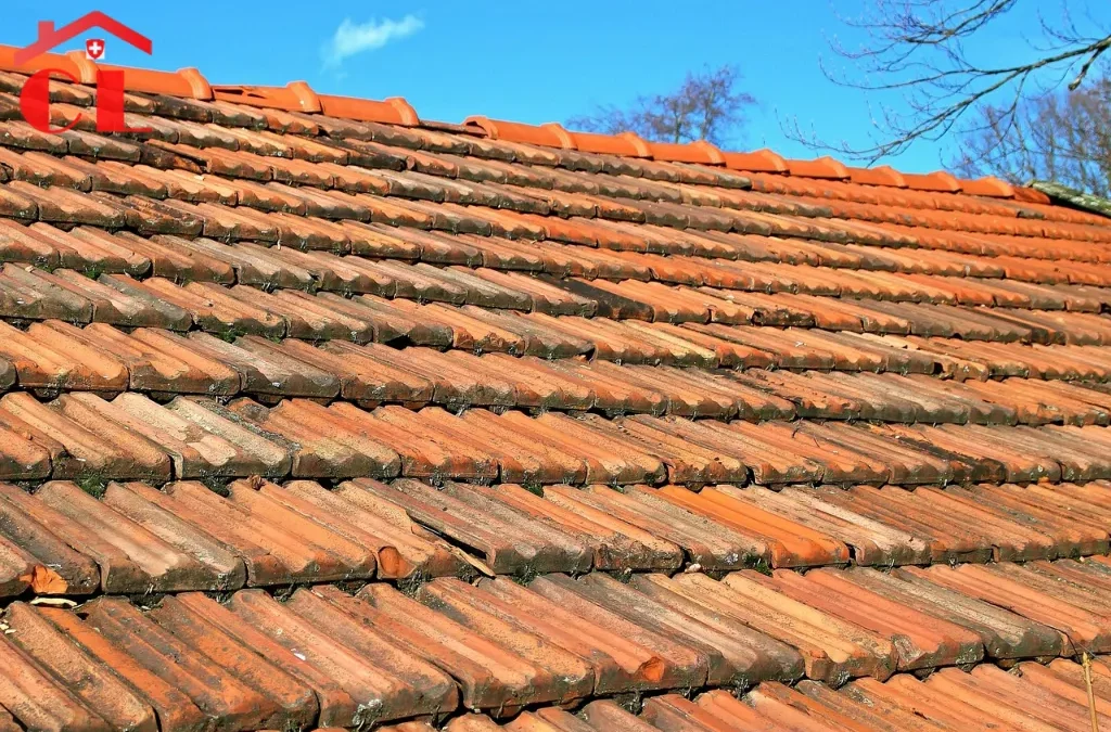 Rénovation toiture à Tannay