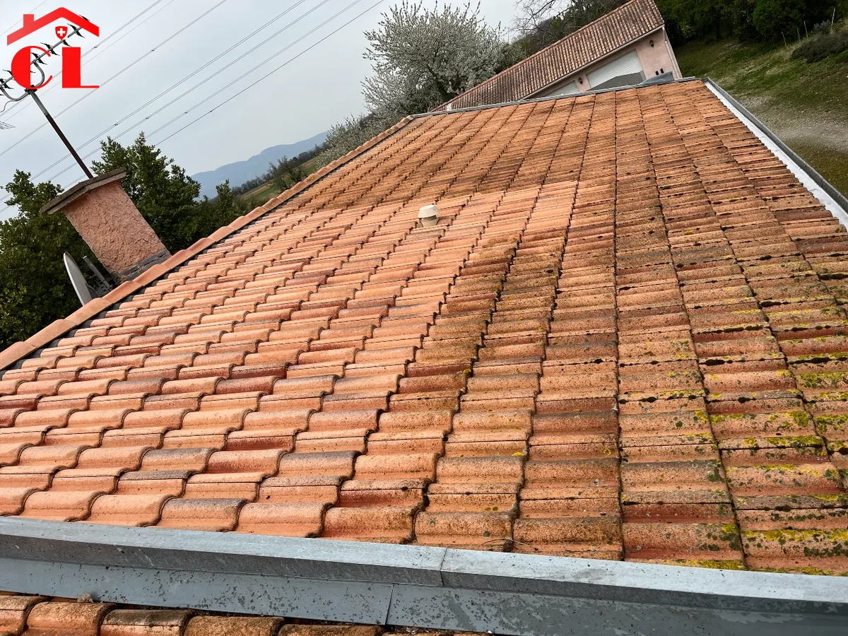 zingueur-ferblantier-bardonnex-visuel