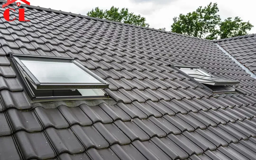 Zingueur ferblantier Bernex