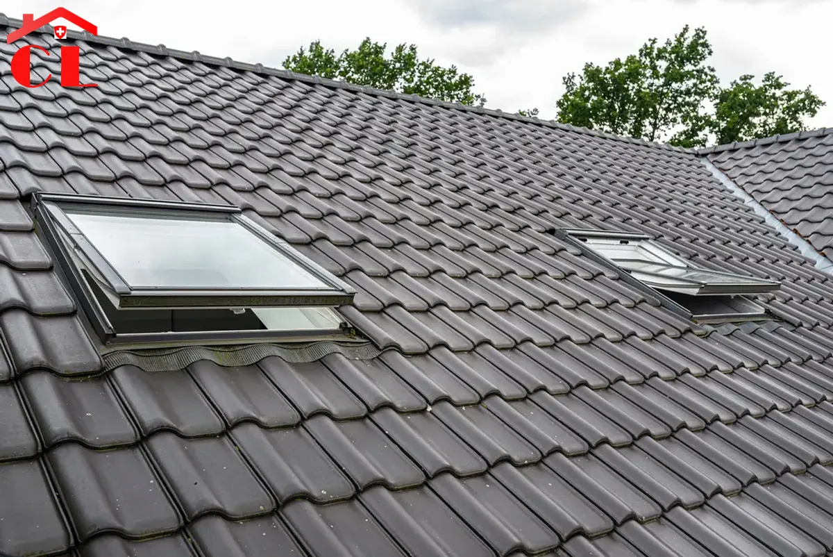 zingueur-ferblantier-bernex-visuel