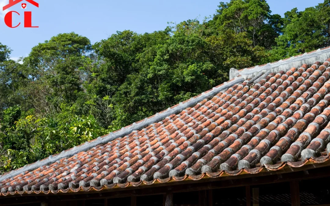 zingueur-ferblantier-champel