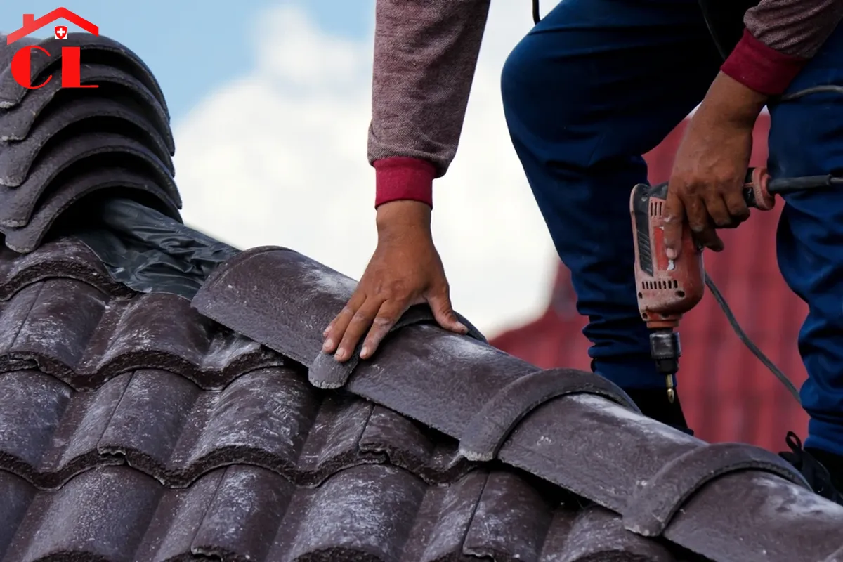 zingueur-ferblantier-corsier-visuel