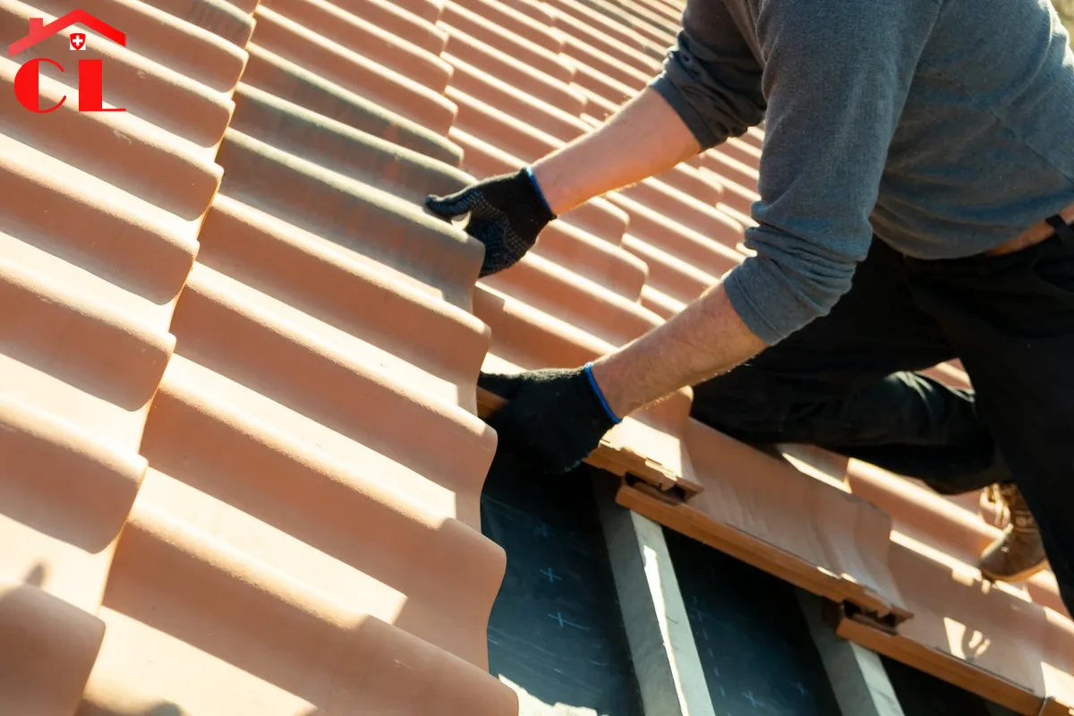 zingueur-ferblantier-satigny-visuel