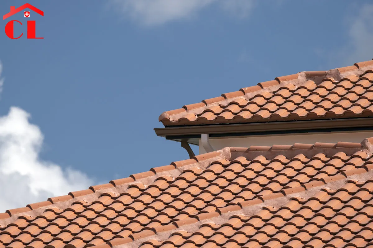 zingueur-ferblantier-vessy-visuel