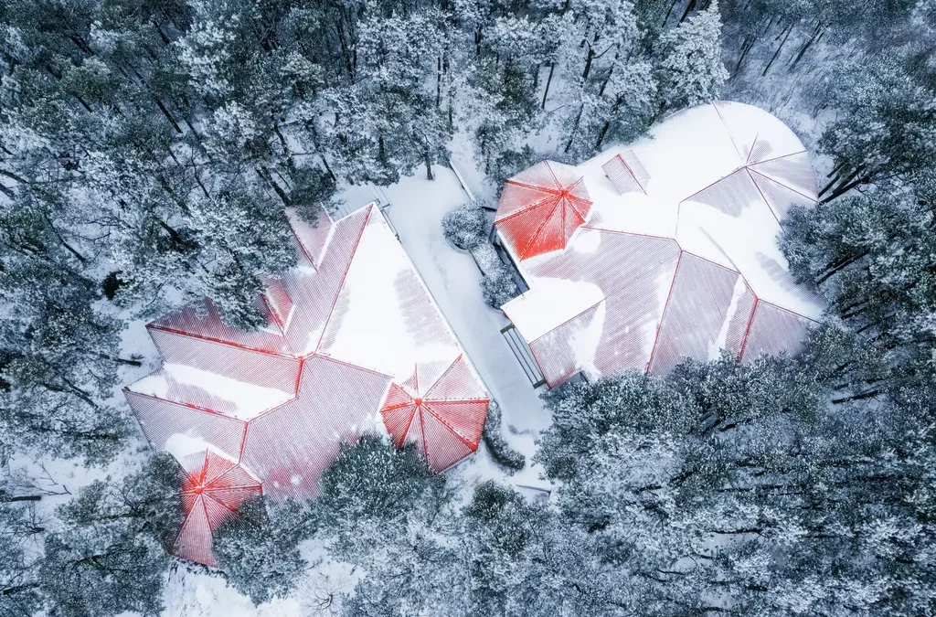 Charges de neige : ce que doivent respecter les toitures du bassin lémanique