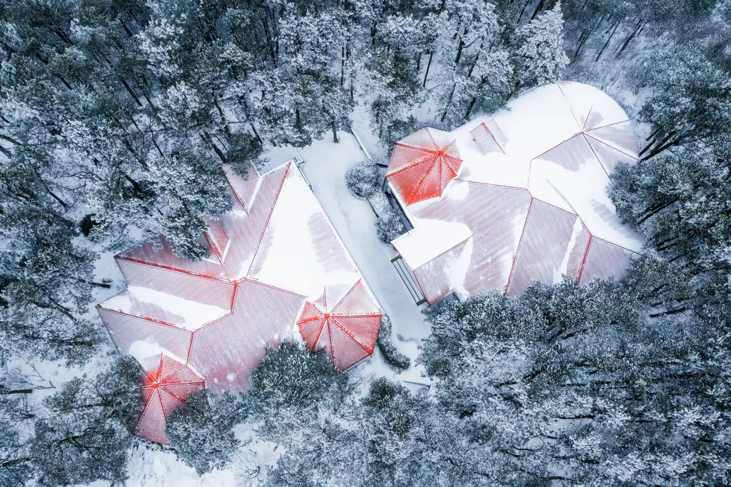 charges-neige-toiture-region-leman