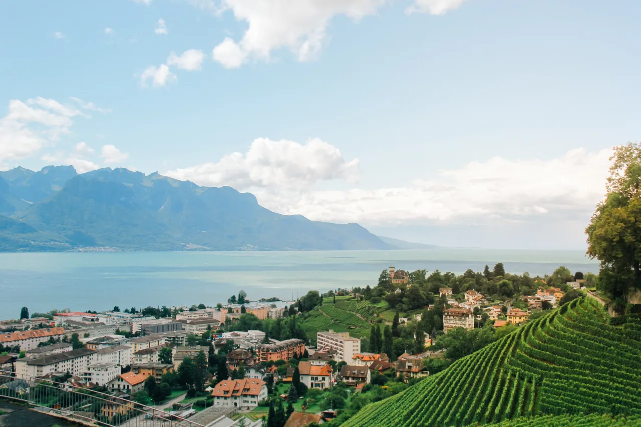 Démoussage de toiture sur la région du Léman